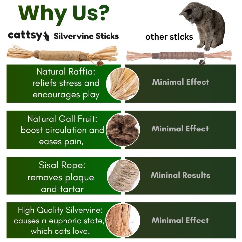 Cattsy Silvervine Dental Sticks