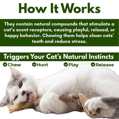 Cattsy Silvervine Dental Sticks