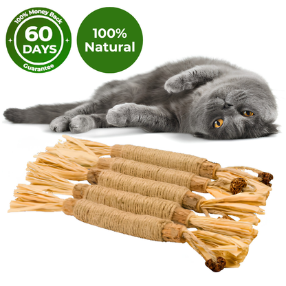Cattsy Silvervine Dental Sticks